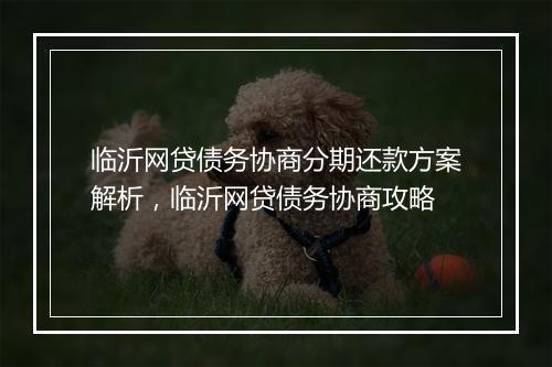 临沂网贷债务协商分期还款方案解析，临沂网贷债务协商攻略