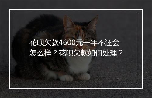 花呗欠款4600元一年不还会怎么样？花呗欠款如何处理？