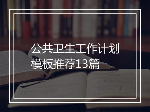 公共卫生工作计划模板推荐13篇