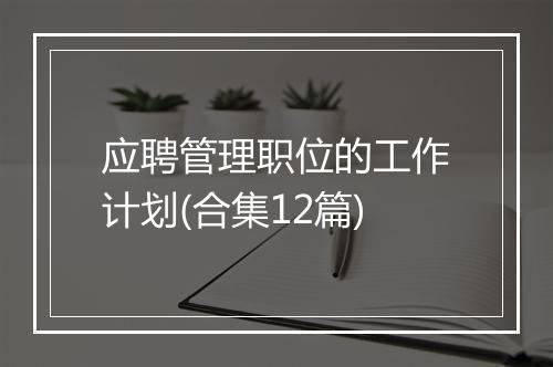 应聘管理职位的工作计划(合集12篇)