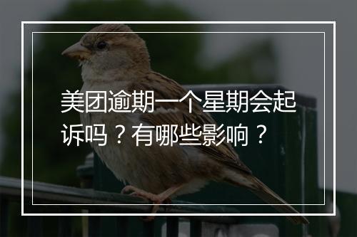 美团逾期一个星期会起诉吗？有哪些影响？