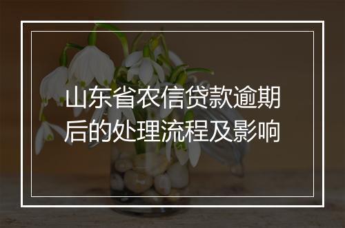 山东省农信贷款逾期后的处理流程及影响