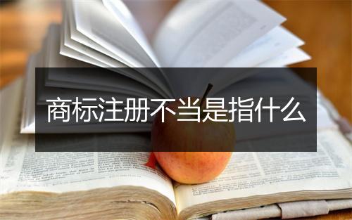 商标注册不当是指什么