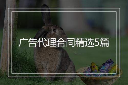 广告代理合同精选5篇