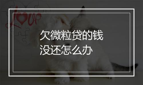 欠微粒贷的钱没还怎么办