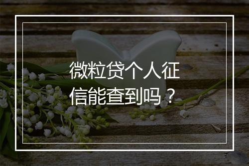 微粒贷个人征信能查到吗？