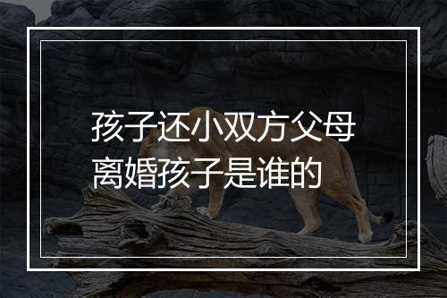孩子还小双方父母离婚孩子是谁的