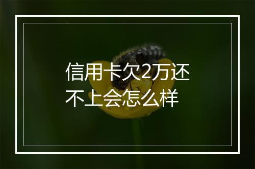 信用卡欠2万还不上会怎么样