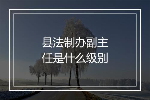 县法制办副主任是什么级别