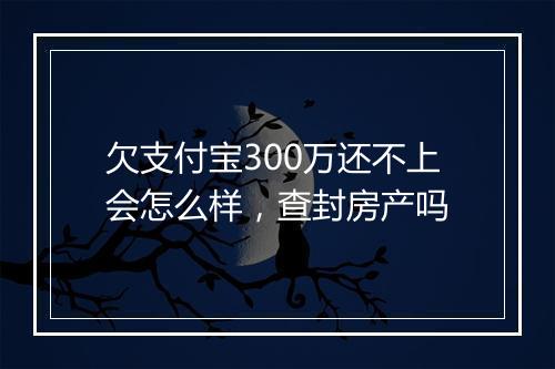 欠支付宝300万还不上会怎么样，查封房产吗