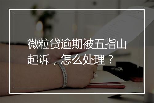 微粒贷逾期被五指山起诉，怎么处理？