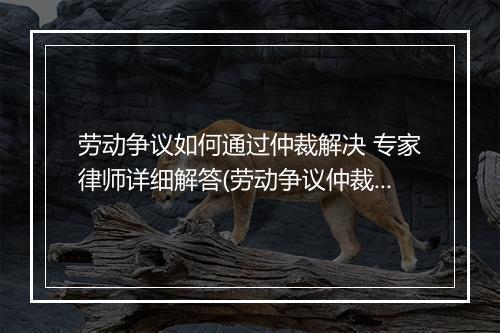 劳动争议如何通过仲裁解决 专家律师详细解答(劳动争议仲裁诉讼技巧及难点问题处理)