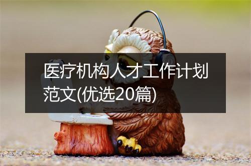 医疗机构人才工作计划范文(优选20篇)