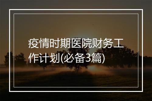 疫情时期医院财务工作计划(必备3篇)