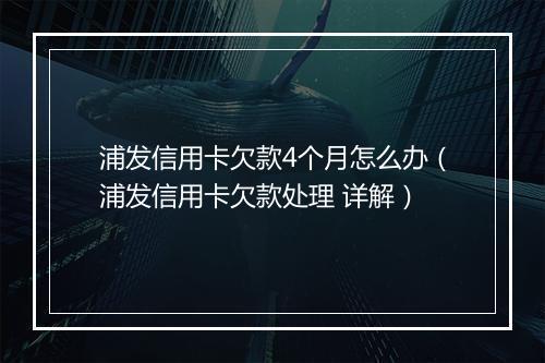 浦发信用卡欠款4个月怎么办（浦发信用卡欠款处理 详解）