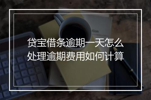 贷宝借条逾期一天怎么处理逾期费用如何计算