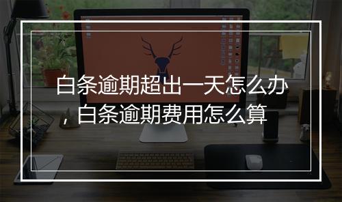 白条逾期超出一天怎么办，白条逾期费用怎么算