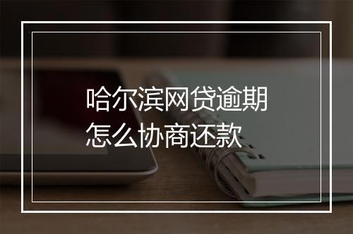 哈尔滨网贷逾期怎么协商还款