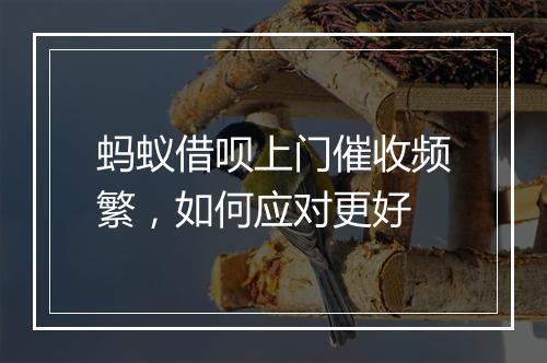 蚂蚁借呗上门催收频繁，如何应对更好