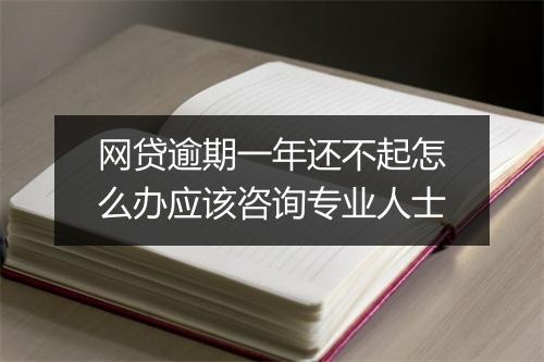 网贷逾期一年还不起怎么办应该咨询专业人士