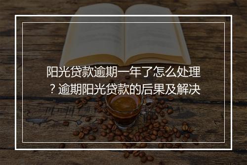 阳光贷款逾期一年了怎么处理？逾期阳光贷款的后果及解决