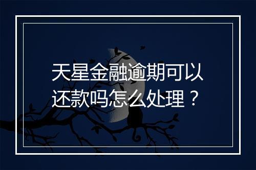 天星金融逾期可以还款吗怎么处理？