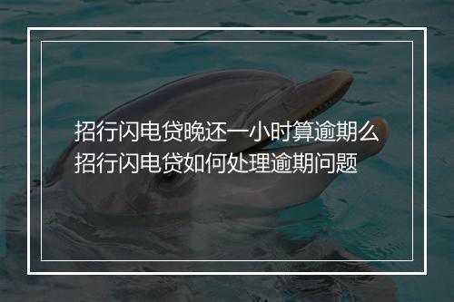 招行闪电贷晚还一小时算逾期么招行闪电贷如何处理逾期问题