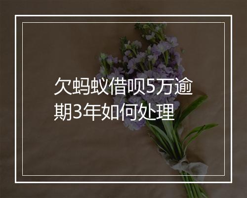 欠蚂蚁借呗5万逾期3年如何处理