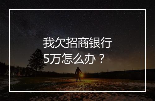 我欠招商银行5万怎么办？