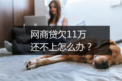 网商贷欠11万还不上怎么办？