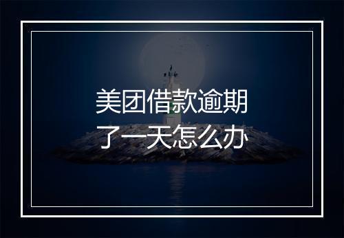 美团借款逾期了一天怎么办