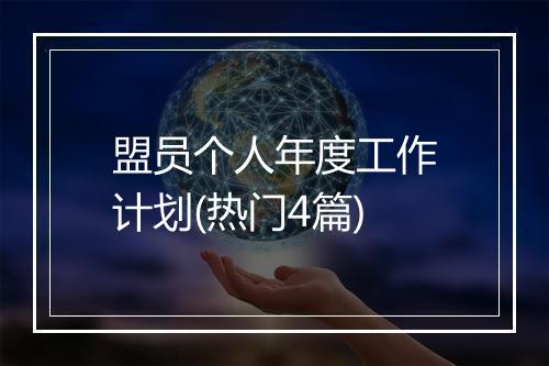 盟员个人年度工作计划(热门4篇)