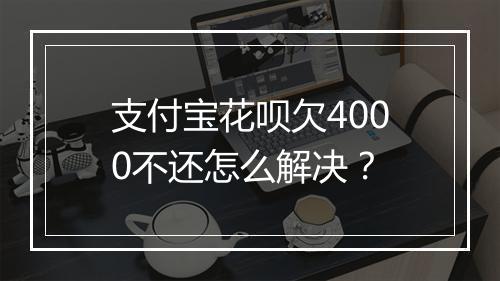 支付宝花呗欠4000不还怎么解决？