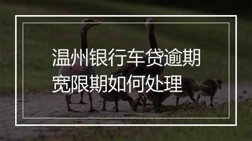 温州银行车贷逾期宽限期如何处理