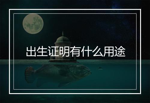 出生证明有什么用途