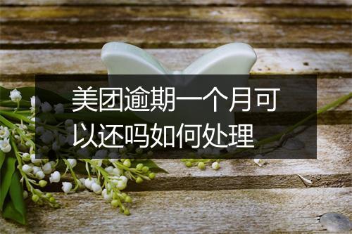 美团逾期一个月可以还吗如何处理