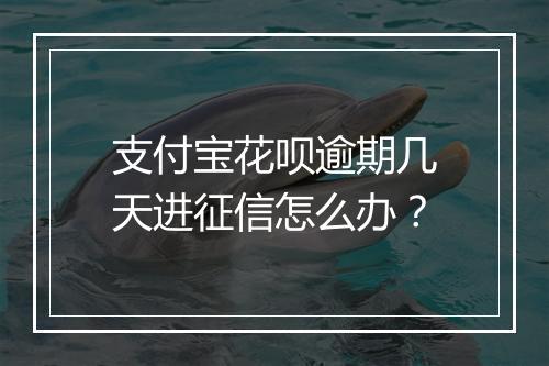 支付宝花呗逾期几天进征信怎么办？