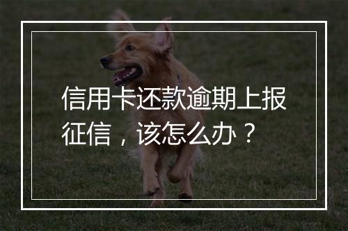 信用卡还款逾期上报征信，该怎么办？