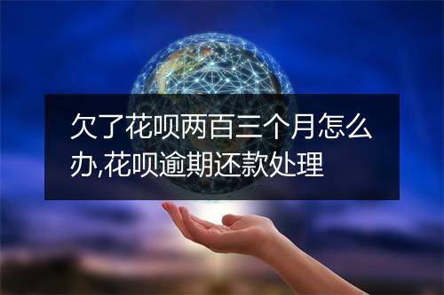 欠了花呗两百三个月怎么办,花呗逾期还款处理
