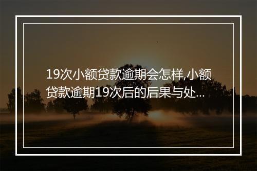 19次小额贷款逾期会怎样,小额贷款逾期19次后的后果与处理措施