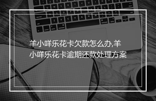 羊小咩乐花卡欠款怎么办,羊小咩乐花卡逾期还款处理方案