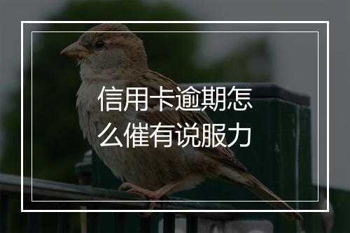 信用卡逾期怎么催有说服力