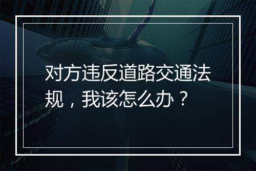 对方违反道路交通法规，我该怎么办？