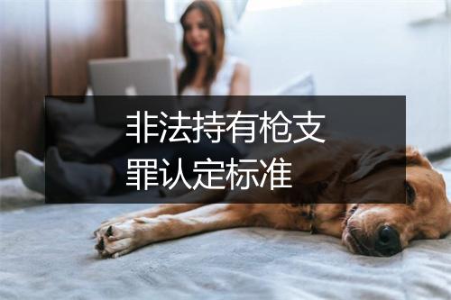 非法持有枪支罪认定标准