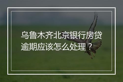 乌鲁木齐北京银行房贷逾期应该怎么处理？