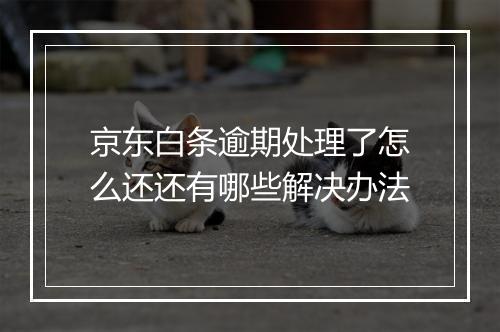京东白条逾期处理了怎么还还有哪些解决办法