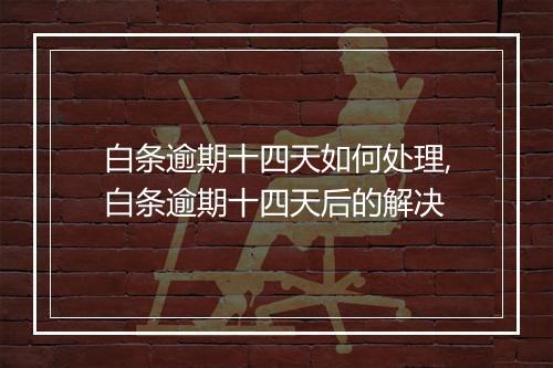 白条逾期十四天如何处理,白条逾期十四天后的解决
