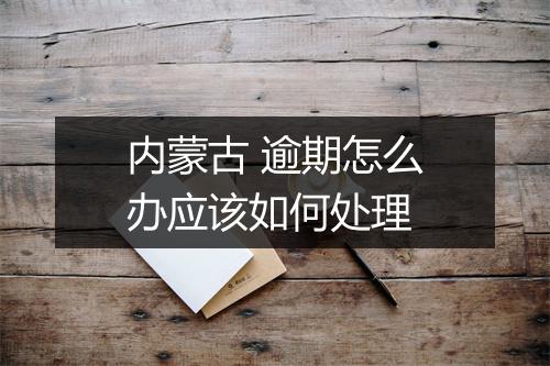 内蒙古 逾期怎么办应该如何处理
