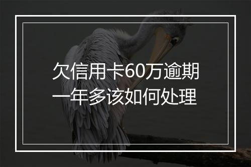 欠信用卡60万逾期一年多该如何处理