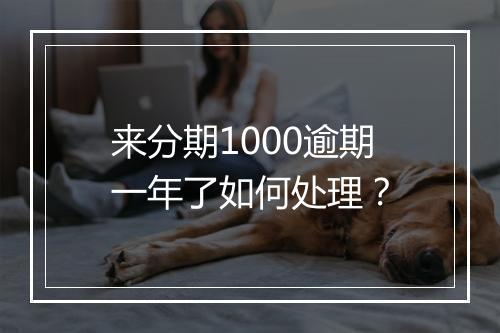 来分期1000逾期一年了如何处理？
